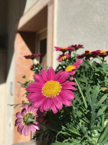 Hostal Giardino Alla Torre Room&breakfast