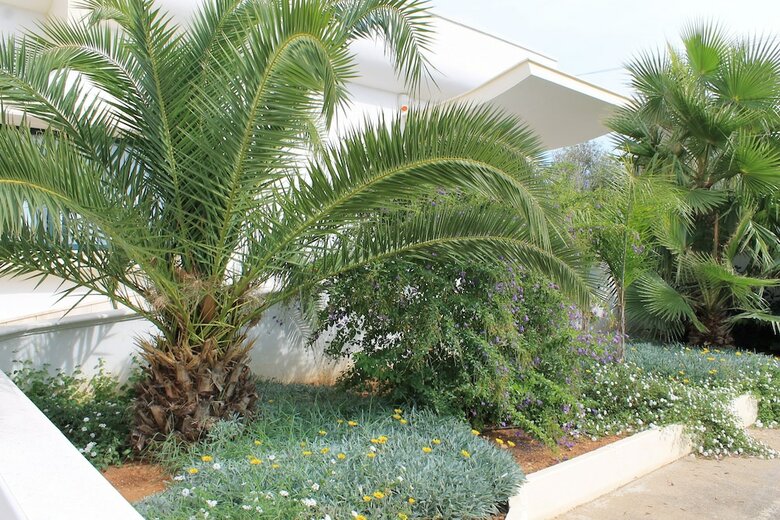 Hostal Salenthouse