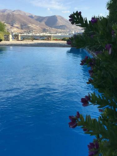 Villa Irene Blue