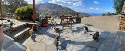 Apartamento Rural Guest House B&B