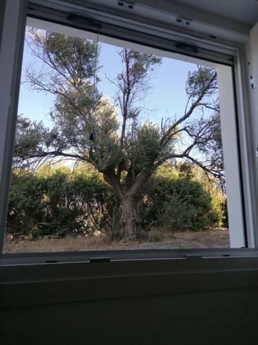 Apartamento Zafiri Countryside 4