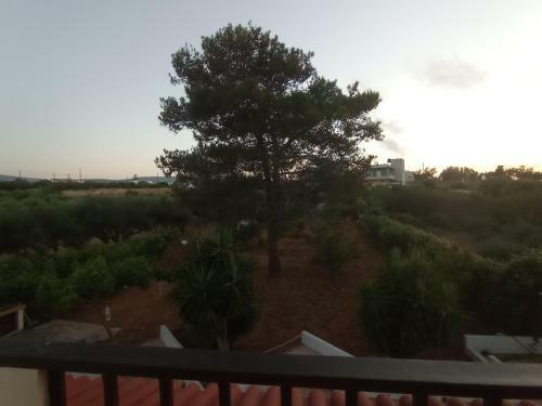Apartamento Flower Holidays