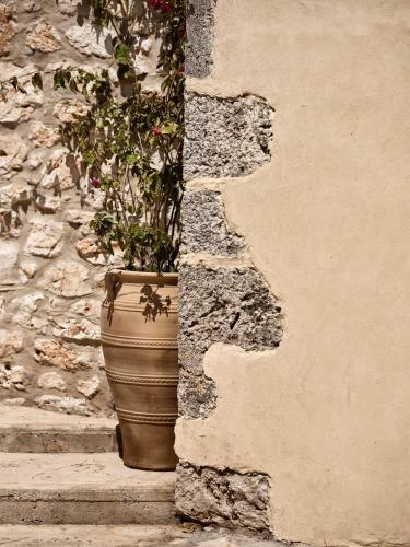 Dounias Village Home