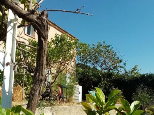 Apartamento Hysope