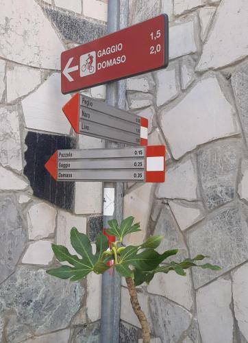 Apartamento Casina Clelia