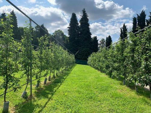 Agroturismo Casale Al Foino
