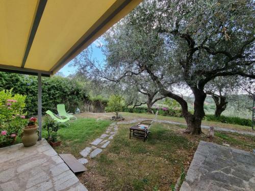 Villa Degli Ulivi