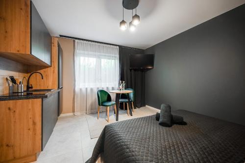 Loft House Apartment Studio Z Ogr�dkiem 1