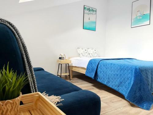 Apartamenty Magellan Rowy