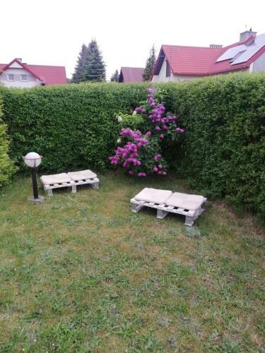 Apartamenty Na Jarz?binowej