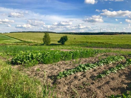 Agroturystyka Nad Jeziorem Silickim Ili?scy