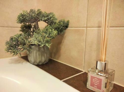 Apartament Sylvia