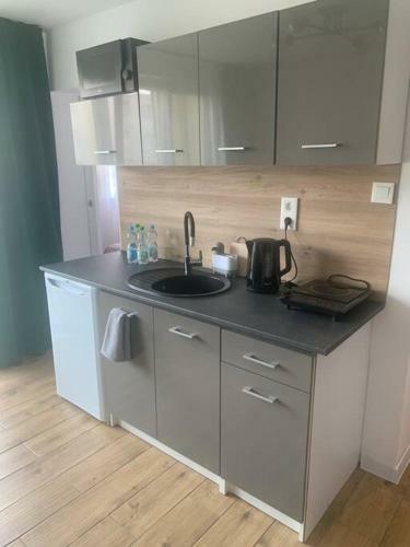 Uroczy Apartament W Centrum Sandomierza