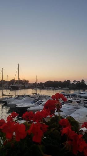 Villa Martina Apartament