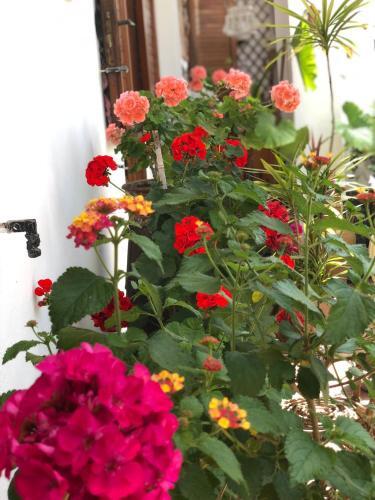 B&B Villa Anna Wunderbar