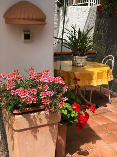 B&B Villa Anna Wunderbar