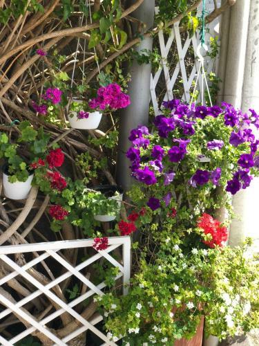 B&B Villa Anna Wunderbar