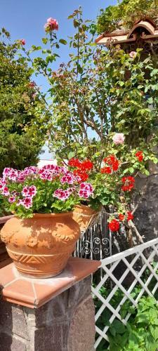 B&B Villa Anna Wunderbar