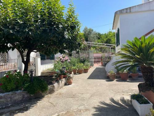 Wine Cantina Built In 1922 Converted Into Villa