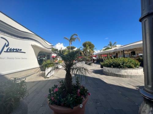 Apartamento Blue B&B Ischia