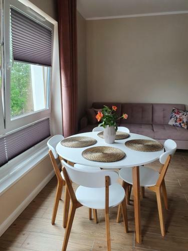 Zamiejska Modern Apartment