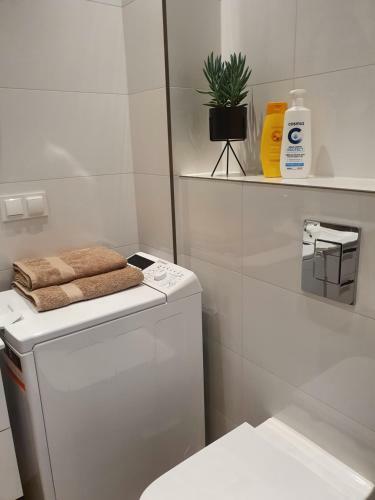 Zamiejska Modern Apartment