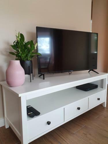 Zamiejska Modern Apartment