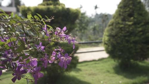 Villa Coffeeknolls By Lexstays Wayanad