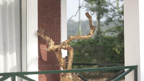 Villa Coffeeknolls By Lexstays Wayanad
