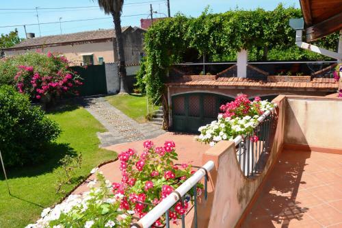 B&B La Casa Del Ficus