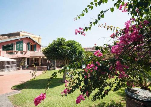 B&B La Casa Del Ficus