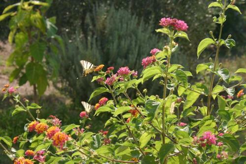 Bed & Breakfast La Casa Di Menny