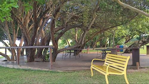 Apartamento Em Guarajuba