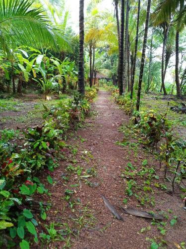 Shivaprasad Garden Stay