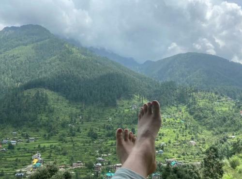 Hotel The Kanatal Valley Resort