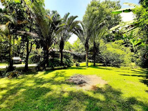 Casa De Campo Na Praia