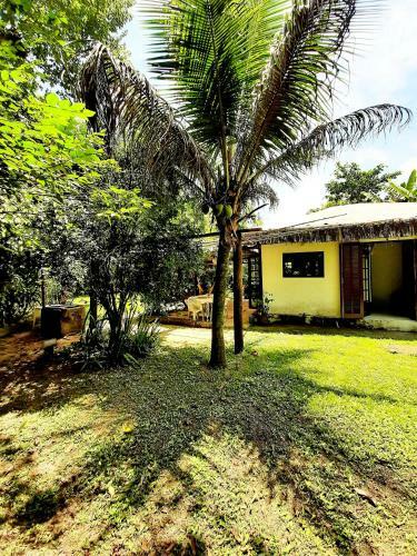 Casa De Campo Na Praia