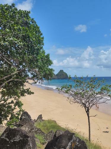 Batera House Noronha