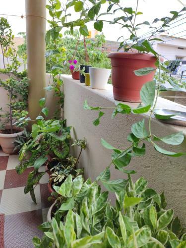 Mamatha Home Stay