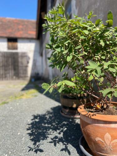 Apartamento Schnaid Im Gl�ck
