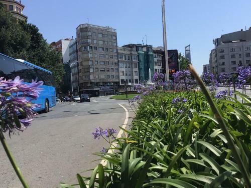 Apartamento Esquina Primavera