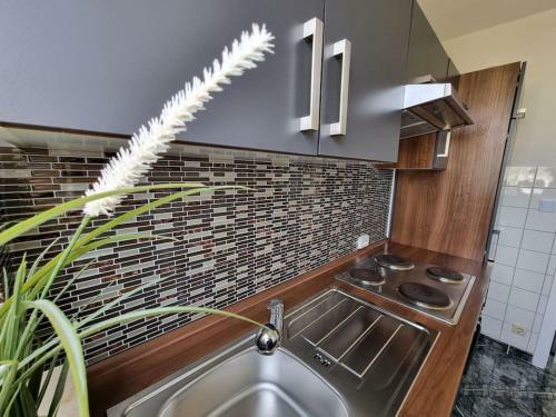 Hanover Luxury Apartment