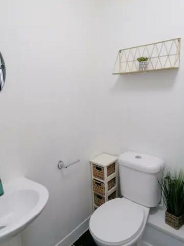 Stylish Pet Friendly Apartment - Amazing Views