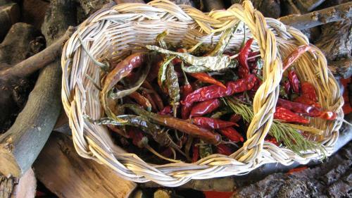 Agroturismo Podere Il Poggiolo