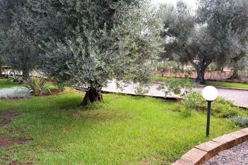 Apartamento Monolocale Porto Cesareo