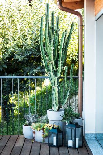 Bed & Breakfast La Rola