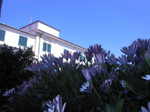 Aparthotel Il Lido