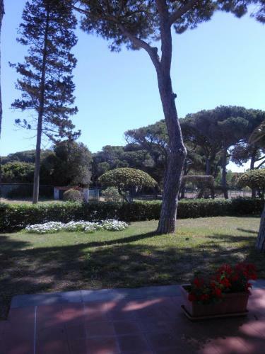 Aparthotel Il Lido