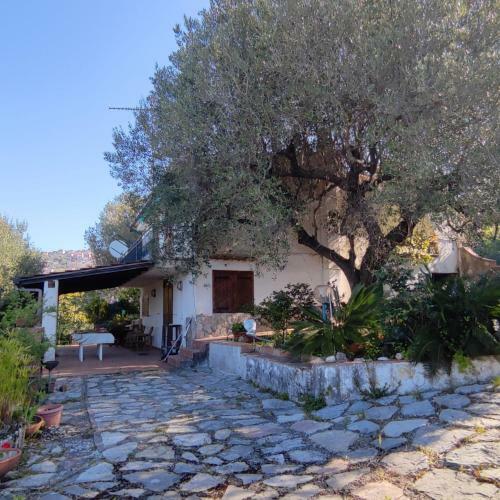 Villa Degli Ulivi