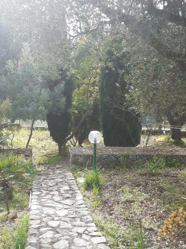 Villa Degli Ulivi